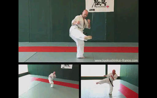 Kyokushin - FREE screenshot 4