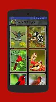 Birds  Wallpapers स्क्रीनशॉट 3