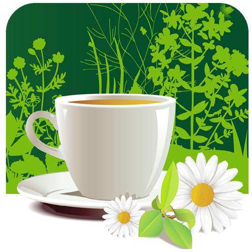 Tea Cup Wallpaper 4K Latest 1.012