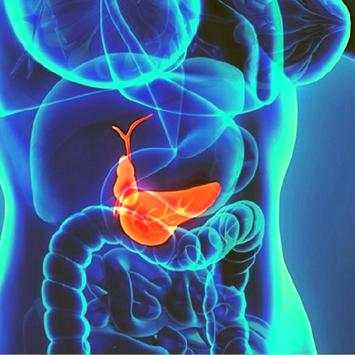 abdominal ultrasound of gallbladder скриншот 2