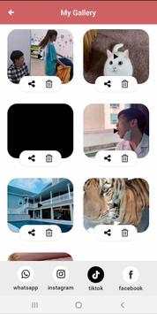 Download Photo-Video Tiktok, Facebook Insta, WA screenshot 4