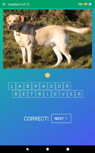 Dog Quiz: Guess the Breed — Game, Pictures, Test screenshot 10