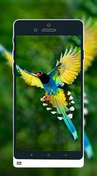 Bird Wallpaper screenshot 4