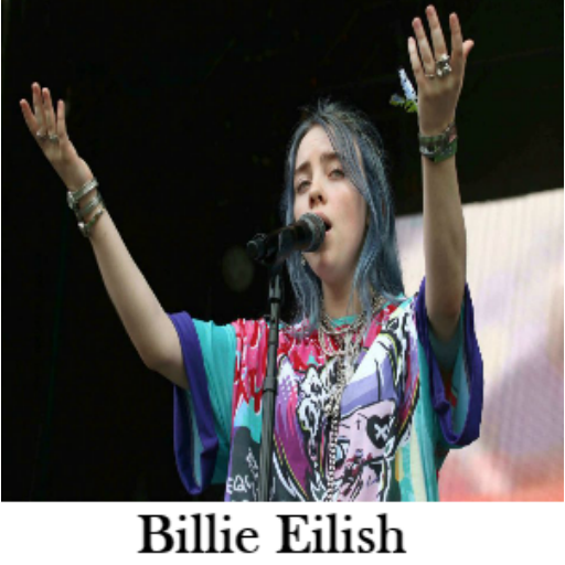 Billie Eilish Songs icon