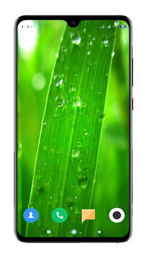 Green Wallpaper HD screenshot 14