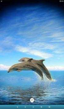 Dolphin Live Wallpaper screenshot 12