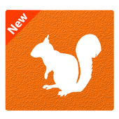 UCC Browser icon