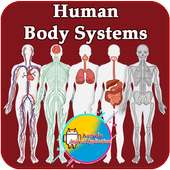Human Body Systems on 9Apps