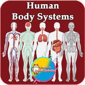 Human Body Systems 1.0