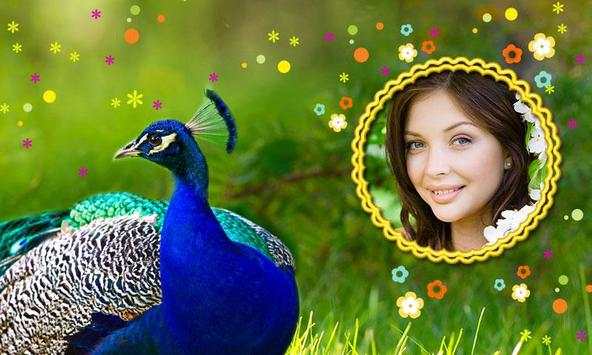 Peacock Photo Frames HD screenshot 1
