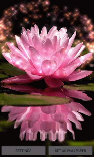 Pink Lotus Live Wallpaper screenshot 1