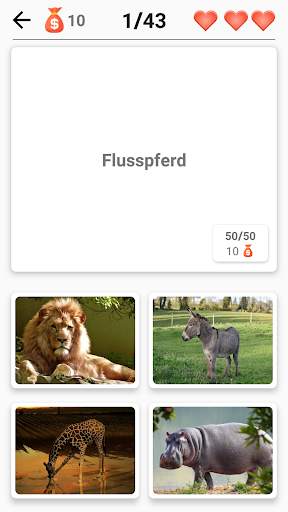 Säugetiere - Lernen Sie alle Tiere im Foto-Quiz! screenshot 6