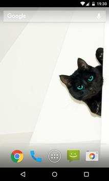 Cat Wallpaper screenshot 3