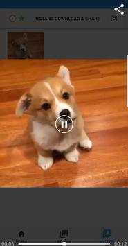 Instant Download & Share for Instagram screenshot 6