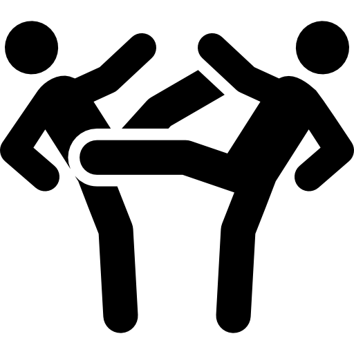 Multiplayer Fighting Game icon