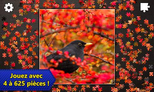 Jigsaw Puzzles Epic screenshot 5