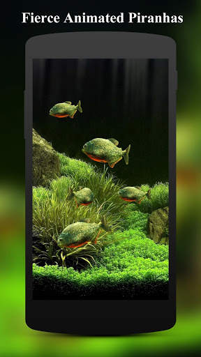 3D Fish Aquarium Wallpaper HD screenshot 3