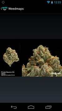 Weedmaps España screenshot 2