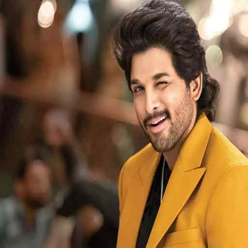 South dubbed in Hindi Movies 1.3