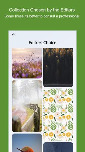 Pixels : Beautiful Wallpapers for your Mobile screenshot 3