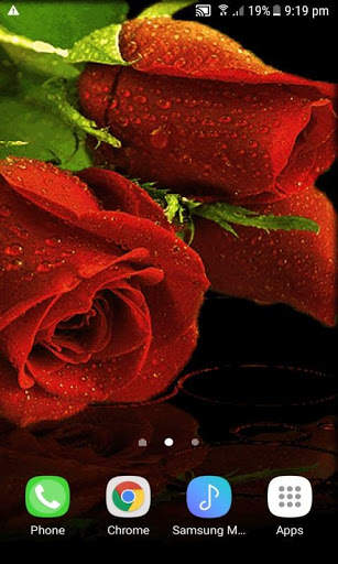 Red Roses Live Wallpaper screenshot 1