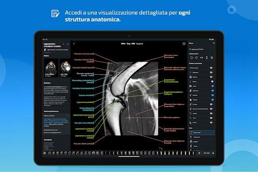 vet-Anatomy screenshot 13