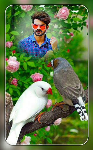 Bird photo editor birds photo frame screenshot 6