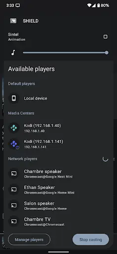 Yatse: Kodi remote and cast screenshot 4