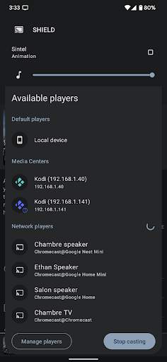 Yatse: Kodi remote and cast скриншот 2