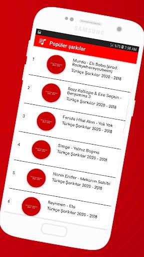Turkish Offline Songs screenshot 5