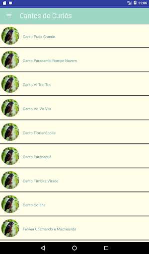 Cantos de Curió screenshot 5