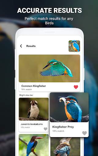 Birds Identifier App by Photo, Bird ID Camera 2020 screenshot 17