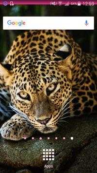 Leopard Wallpapers screenshot 2