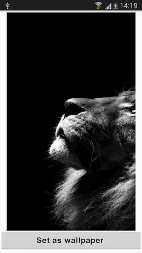 Black Wallpapers 2 تصوير الشاشة