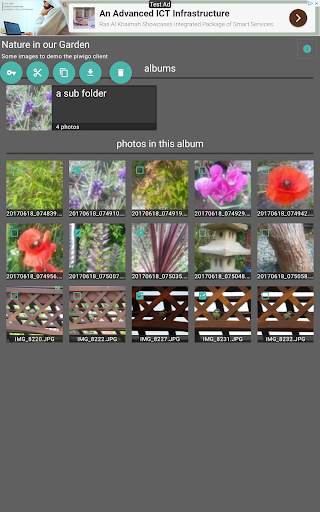 Piwigo Client - Free screenshot 16
