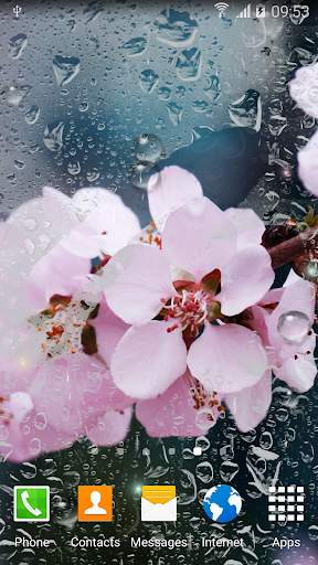 Rainy Flowers Live Wallpaper screenshot 3