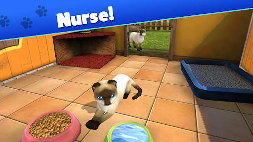 Pet World - My animal shelter 27 تصوير الشاشة