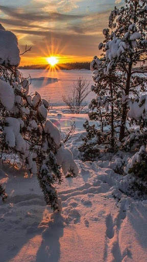 Winter Wallpapers screenshot 3