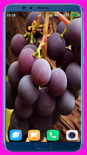 Grapes HD wallpaper screenshot 4