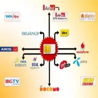 Bulbul e Recharge