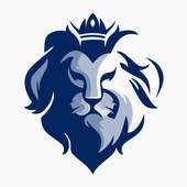 Lion VPN 13