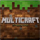 Multicraft: Pro Edition 1.0