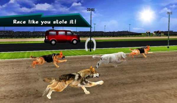 Wild Greyhound Dog Racing screenshot 17