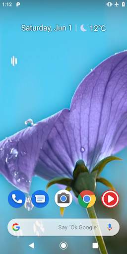 Flowers Video Wallpaper For Lock Screen 1 تصوير الشاشة