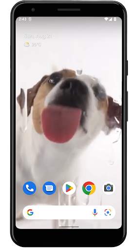 Dog Licks Screen Wallpaper screenshot 5