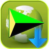 Video Downloader Manager IDM 4.4