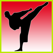 Learn Taekwondo icon