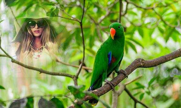 Birds Photo Frame 3 تصوير الشاشة
