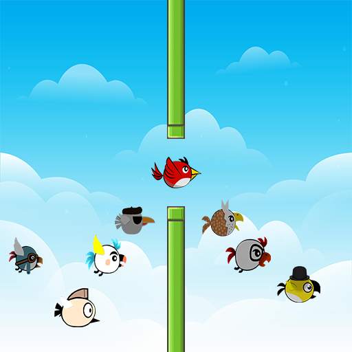 Crazy Birds 1.1