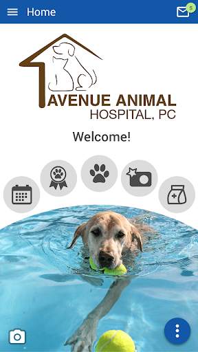 Avenue Animal Hospital screenshot 1